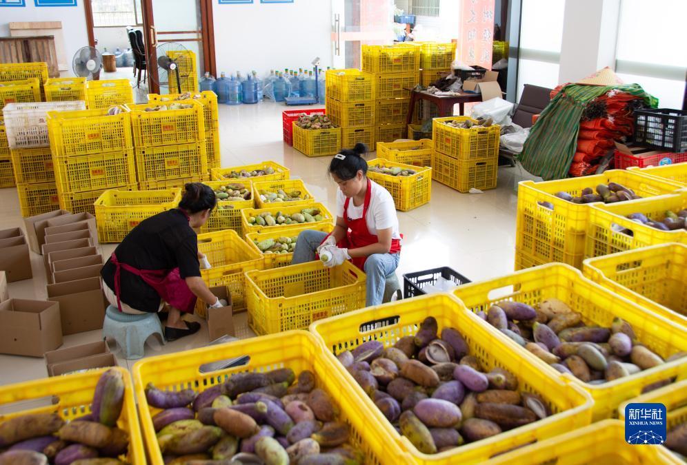 梭哈游戏单机版